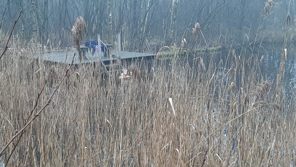 IJsbad tegen ziekte van Lyme